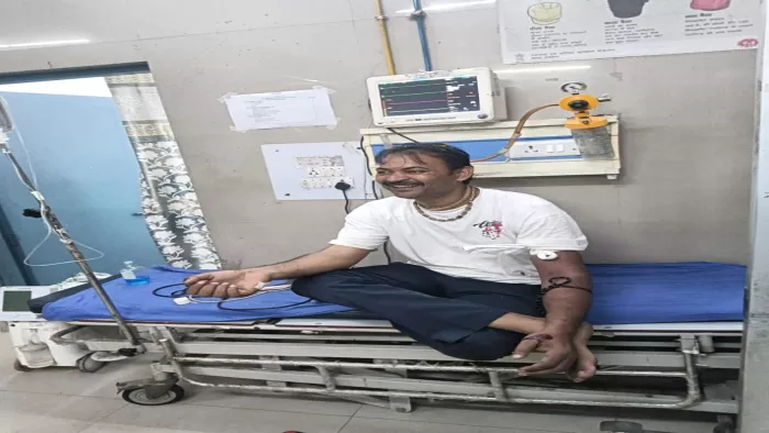 Development, which claims to catch 300 snakes, had to farm eight doses of Dassa, Anti Snake Venam – a man who claimed to have caught 300 snakes was bitten by a cobra and eight doses of anti -NKE poison.