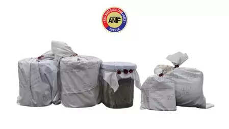 Drug smuggling module busted in Punjab, large quantity of drugs and cash recovered
