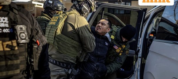 Trump to expand immigration crackdown in 2026 despite backlash