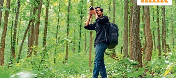 How to follow your passion and turn your skills into lasting financial success