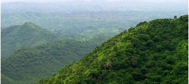 Environmental and social impact of the decision on Aravalli: why it is called ‘Death Warrant of North India’, read every important update