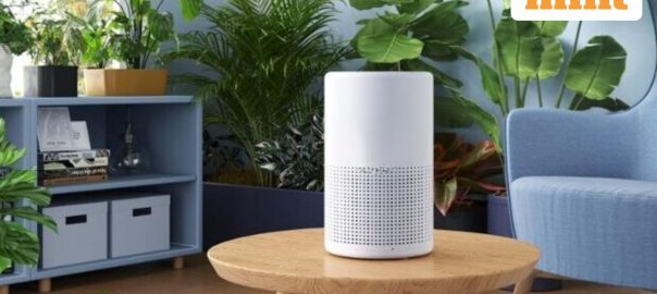 How to take care of an air purifier that works 24/7 on peak pollution days: Expert guide